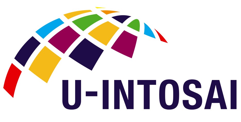 Цифровой университет ИНТОСАИ (U-INTOSAI)