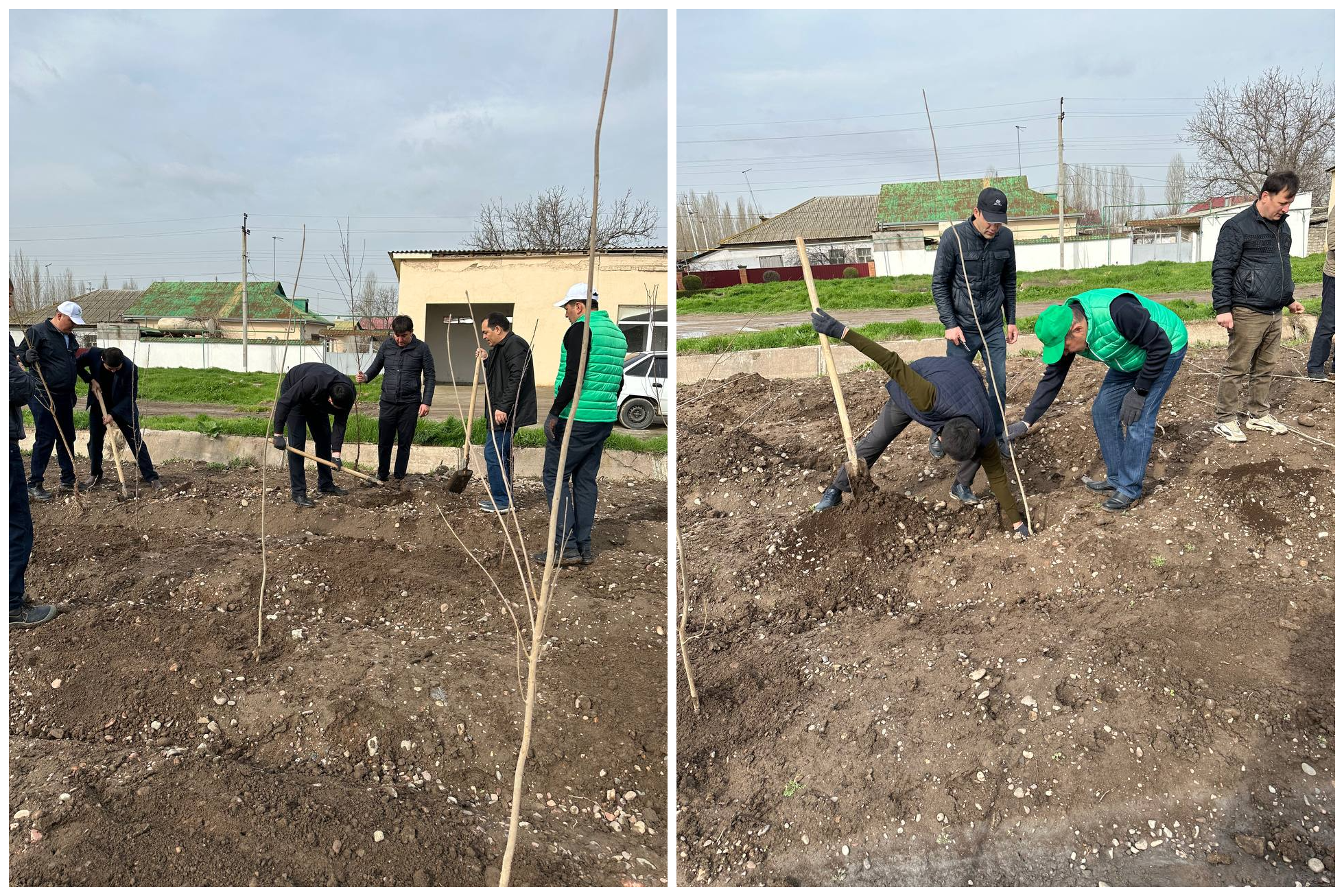 Ҳисоб палатаси жамоаси “Яшил макон” умуммиллий лой