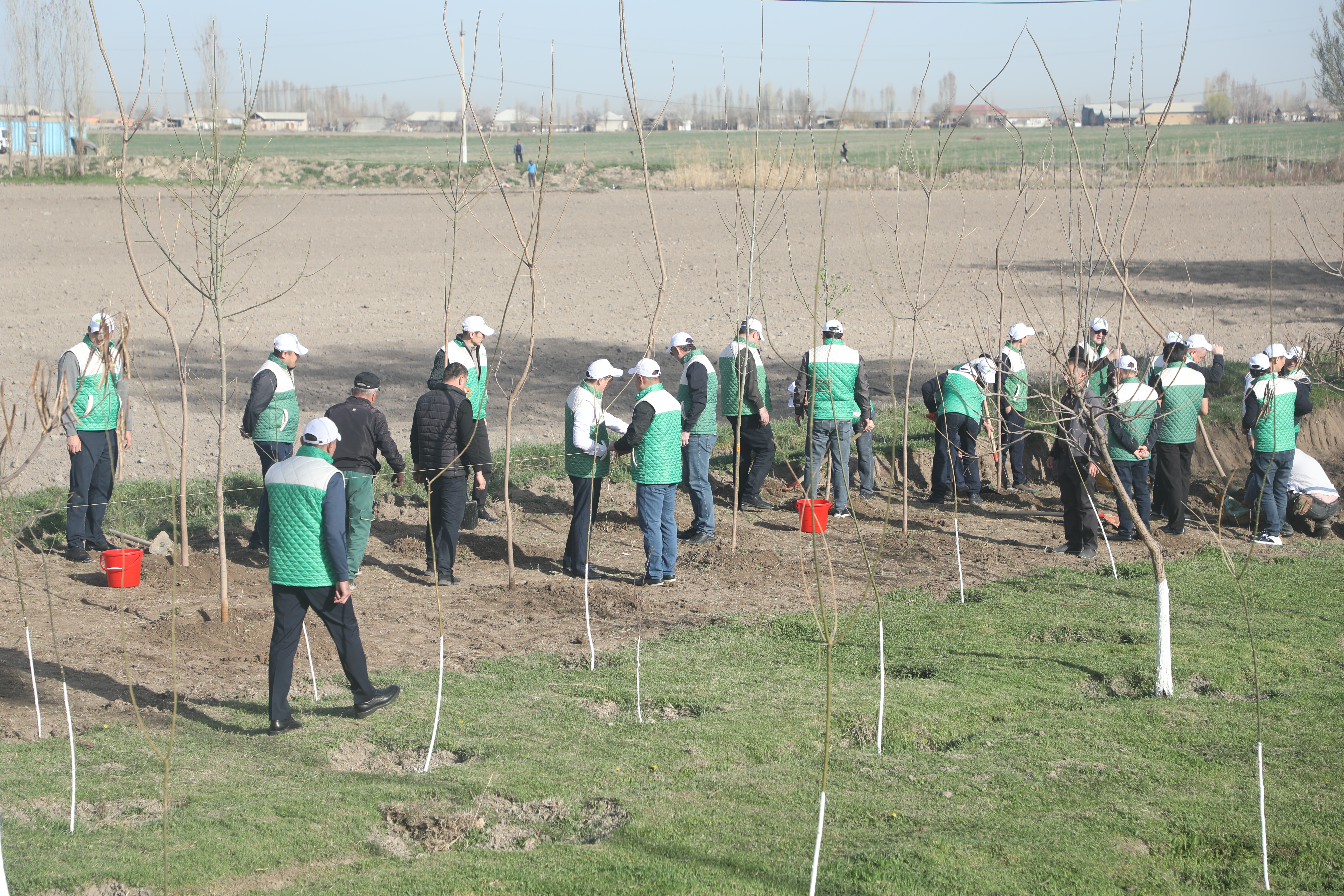 Ҳисоб палатаси жамоаси “Яшил макон” умуммиллий лой